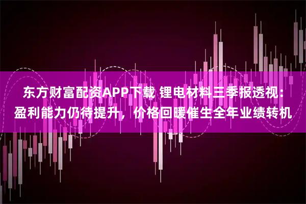 东方财富配资APP下载 锂电材料三季报透视：盈利能力仍待提升，价格回暖催生全年业绩转机