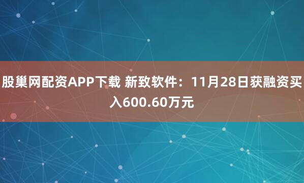 股巢网配资APP下载 新致软件：11月28日获融资买入600.60万元