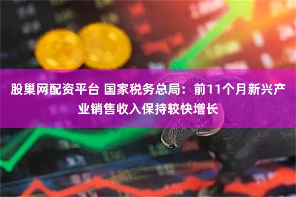 股巢网配资平台 国家税务总局：前11个月新兴产业销售收入保持较快增长