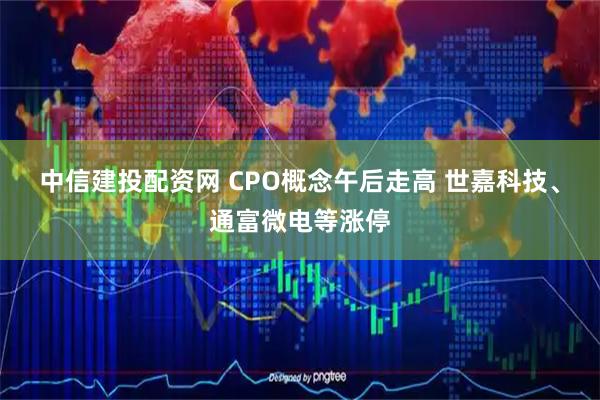 中信建投配资网 CPO概念午后走高 世嘉科技、通富微电等涨停