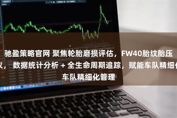 驰盈策略官网 聚焦轮胎磨损评估，FW40胎纹胎压检测仪， 数据统计分析 + 全生命周期追踪，赋能车队精细化管理